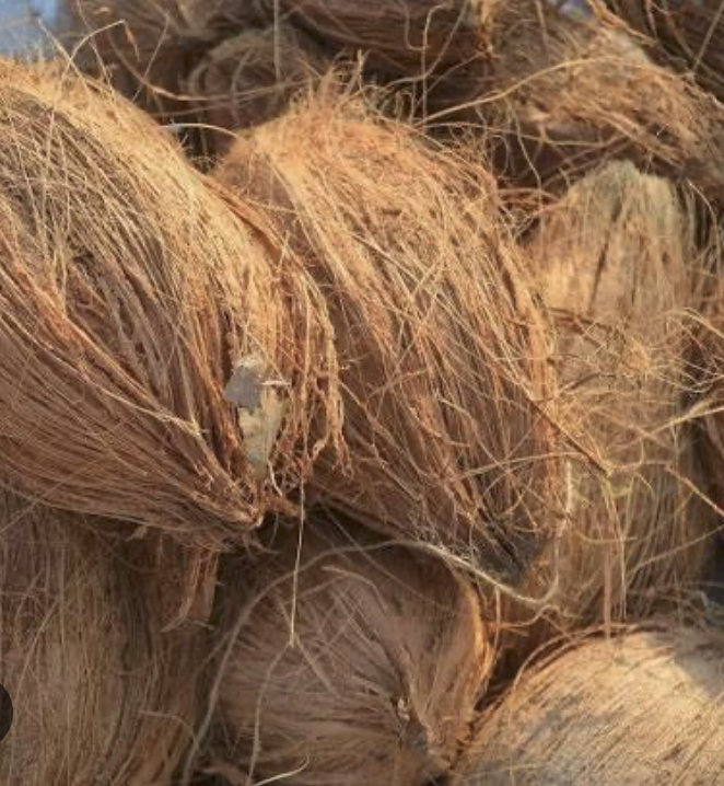 Coir Fibre